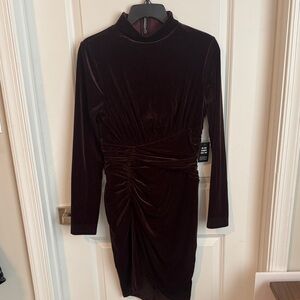 Express Velvet Long Sleeve Dress in Rich Maroon
